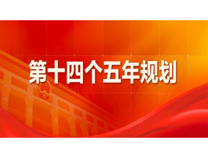 九游·官方端网页版-JiuYou 9(中国)为“十四五”规划建言献策 
